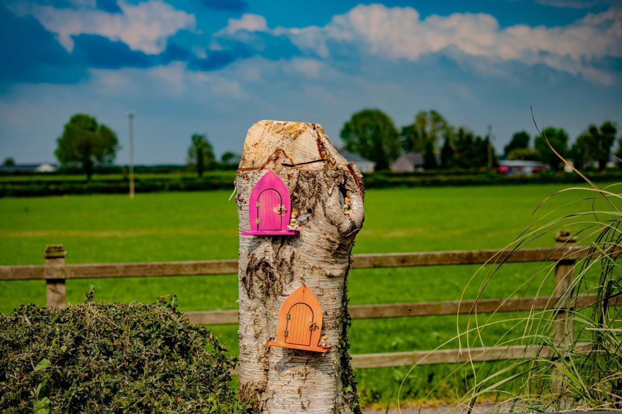 The Ring Farmhouse Bed & Breakfast Birr Exterior photo